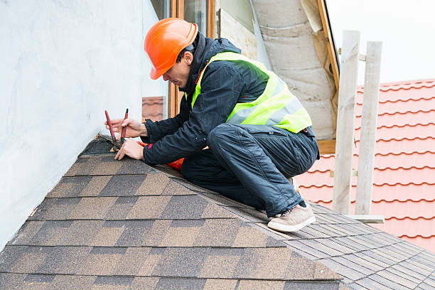 Best Roof Gutter Cleaning  in Priest River, ID